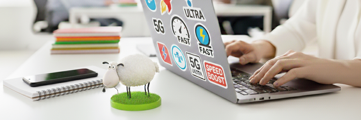 Support uman gazduire web